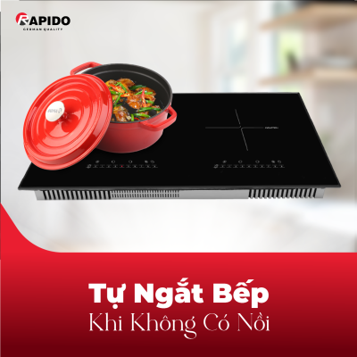 Bếp từ đôi RI4000BD